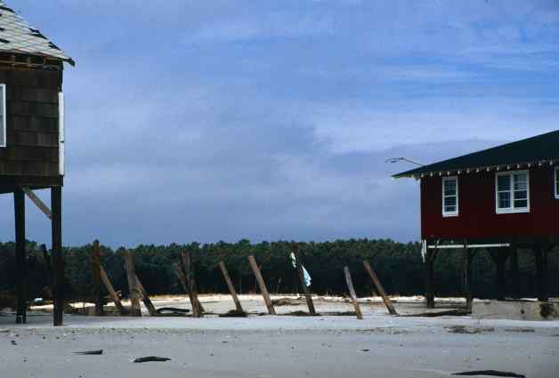 Pawleys Island (Wes Tyler)